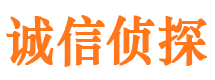 雷波侦探公司